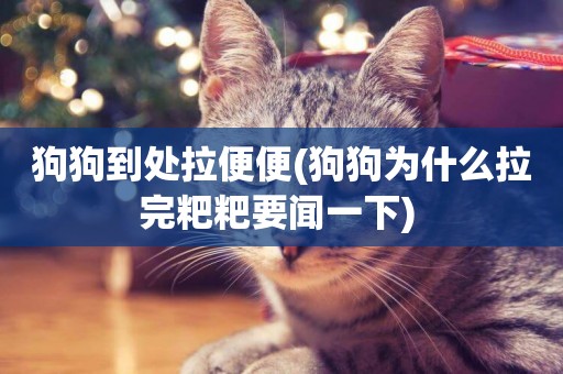 狗狗到處拉便便(狗狗為什么拉完粑粑要聞一下) 