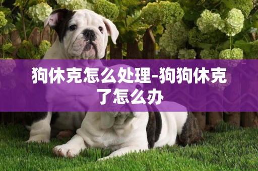 狗休克怎么處理-狗狗休克了怎么辦