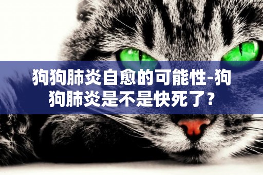狗狗肺炎自愈的可能性-狗狗肺炎是不是快死了？