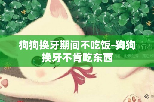 狗狗換牙期間不吃飯-狗狗換牙不肯吃東西