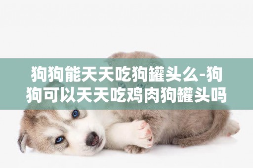 狗狗能天天吃狗罐頭么-狗狗可以天天吃雞肉狗罐頭嗎？拜托各位大神