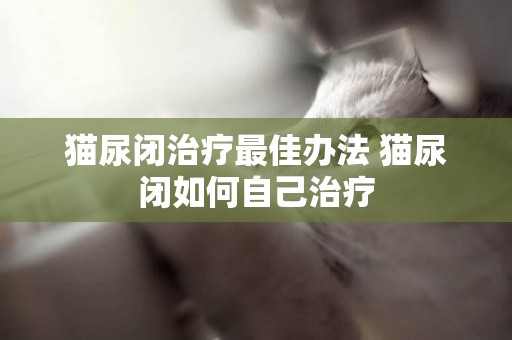 貓尿閉治療最佳辦法 貓尿閉如何自己治療