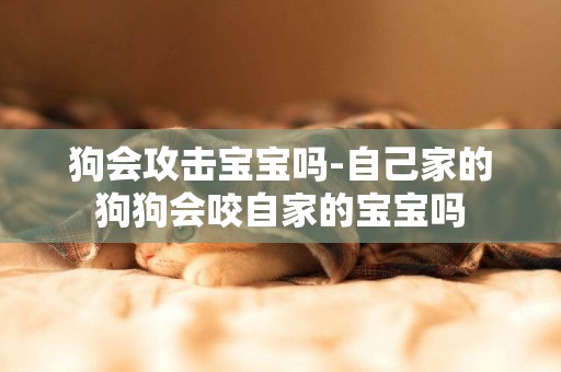 狗會攻擊寶寶嗎-自己家的狗狗會咬自家的寶寶嗎