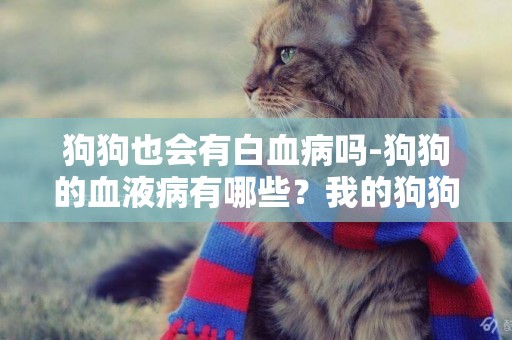 狗狗也會有白血病嗎-狗狗的血液病有哪些？我的狗狗得血液病能根治嗎？急！！