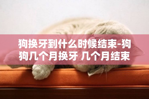 狗換牙到什么時候結束-狗狗幾個月換牙 幾個月結束