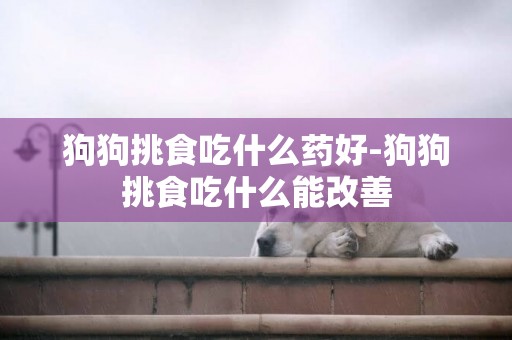 狗狗挑食吃什么藥好-狗狗挑食吃什么能改善