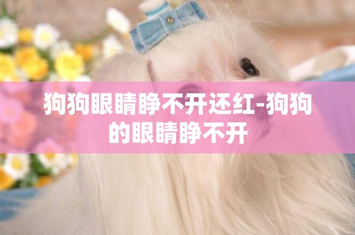 狗狗眼睛睜不開還紅-狗狗的眼睛睜不開