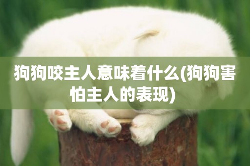 狗狗咬主人意味著什么(狗狗害怕主人的表現) 