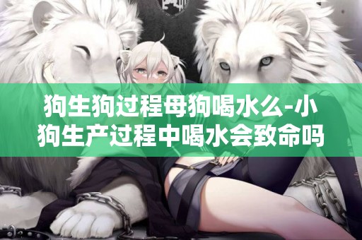 狗生狗過程母狗喝水么-小狗生產過程中喝水會致命嗎？