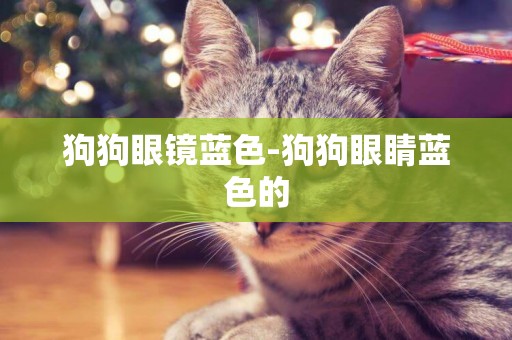 狗狗眼鏡藍色-狗狗眼睛藍色的