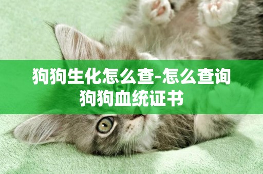 狗狗生化怎么查-怎么查詢狗狗血統證書