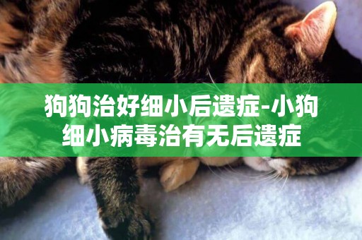 狗狗治好細小后遺癥-小狗細小病毒治有無后遺癥