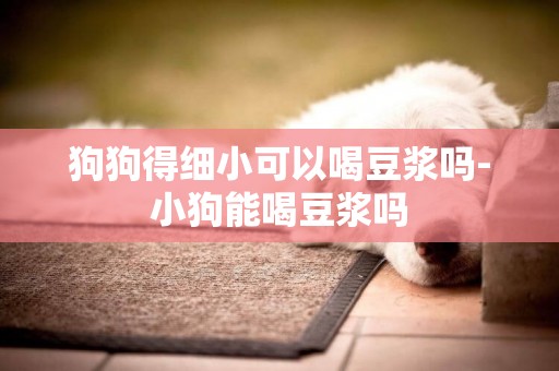 狗狗得細小可以喝豆漿嗎-小狗能喝豆漿嗎