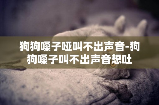 狗狗嗓子啞叫不出聲音-狗狗嗓子叫不出聲音想吐