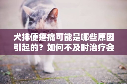 犬排便疼痛可能是哪些原因引起的？如何不及時治療會發生什么？ 