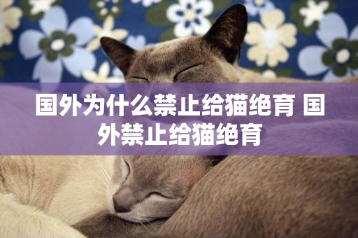 國外為什么禁止給貓絕育 國外禁止給貓絕育