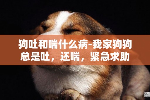 狗吐和喘什么病-我家狗狗總是吐，還喘，緊急求助