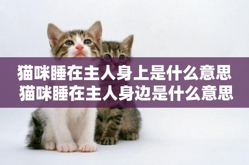 貓咪睡在主人身上是什么意思 貓咪睡在主人身邊是什么意思