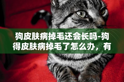 狗皮膚病掉毛還會長嗎-狗得皮膚病掉毛了怎么辦，有圖。
