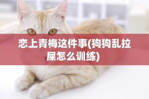 戀上青梅這件事(狗狗亂拉屎怎么訓練) 