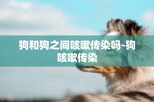 狗和狗之間咳嗽傳染嗎-狗咳嗽傳染