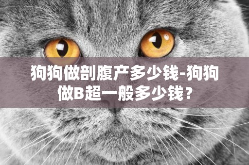 狗狗做剖腹產多少錢-狗狗做B超一般多少錢？