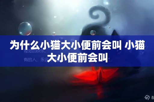 為什么小貓大小便前會叫 小貓大小便前會叫