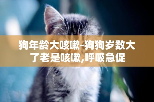 狗年齡大咳嗽-狗狗歲數大了老是咳嗽,呼吸急促