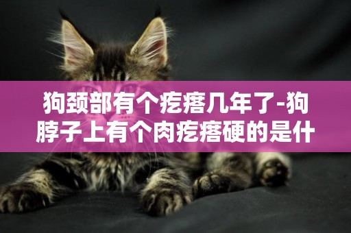 狗頸部有個疙瘩幾年了-狗脖子上有個肉疙瘩硬的是什么