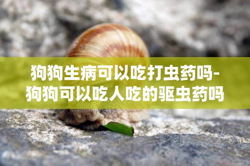 狗狗生病可以吃打蟲藥嗎-狗狗可以吃人吃的驅蟲藥嗎？