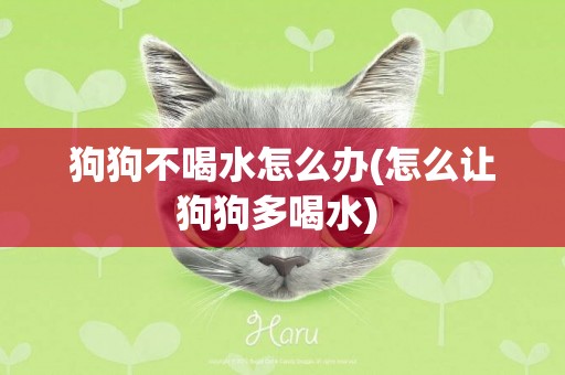 狗狗不喝水怎么辦(怎么讓狗狗多喝水) 