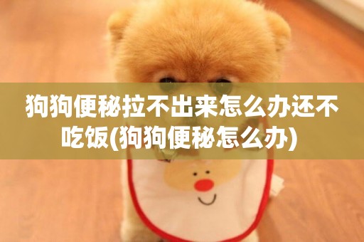 狗狗便秘拉不出來怎么辦還不吃飯(狗狗便秘怎么辦) 