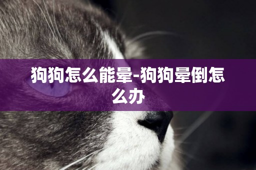 狗狗怎么能暈-狗狗暈倒怎么辦