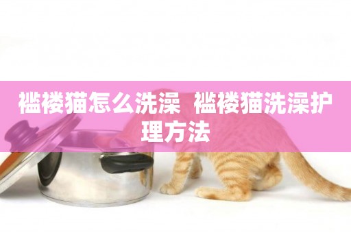 襤褸貓怎么洗澡  襤褸貓洗澡護理方法