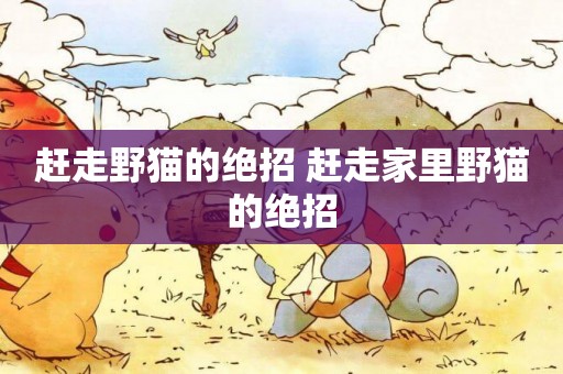 趕走野貓的絕招 趕走家里野貓的絕招