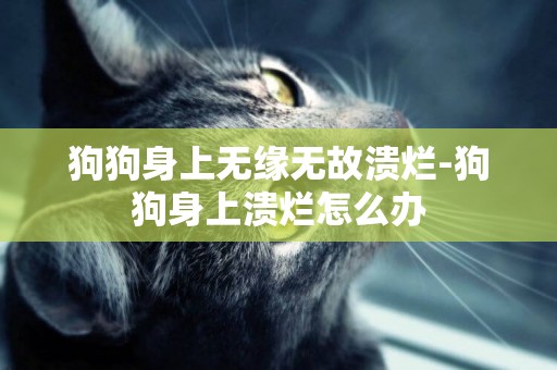 狗狗身上無緣無故潰爛-狗狗身上潰爛怎么辦