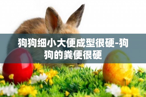 狗狗細小大便成型很硬-狗狗的糞便很硬