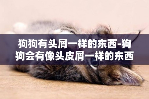 狗狗有頭屑一樣的東西-狗狗會有像頭皮屑一樣的東西嗎？