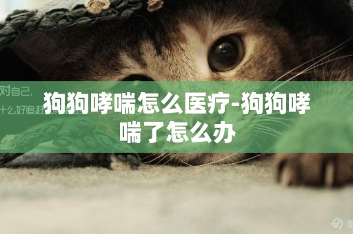 狗狗哮喘怎么醫療-狗狗哮喘了怎么辦