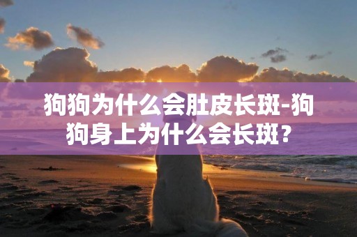 狗狗為什么會肚皮長斑-狗狗身上為什么會長斑？