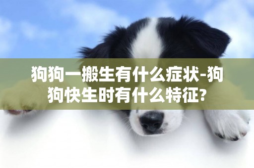 狗狗一搬生有什么癥狀-狗狗快生時有什么特征?