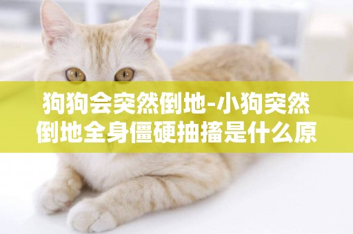 狗狗會突然倒地-小狗突然倒地全身僵硬抽搐是什么原因？