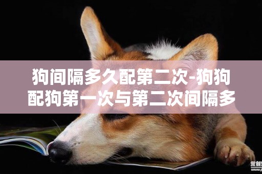狗間隔多久配第二次-狗狗配狗第一次與第二次間隔多長時間為好