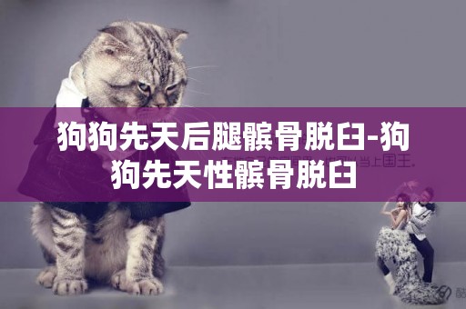 狗狗先天后腿髕骨脫臼-狗狗先天性髕骨脫臼