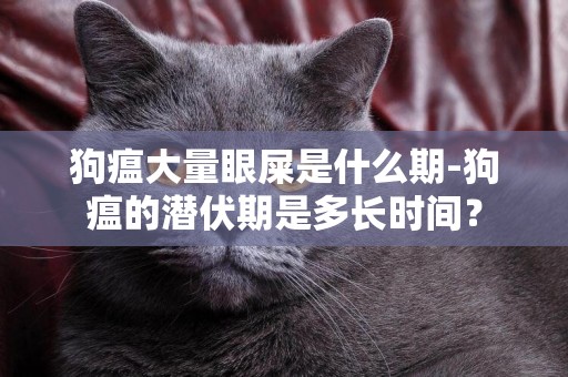 狗瘟大量眼屎是什么期-狗瘟的潛伏期是多長時間？