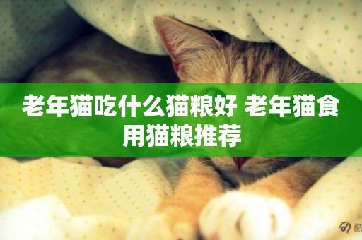 老年貓吃什么貓糧好 老年貓食用貓糧推薦