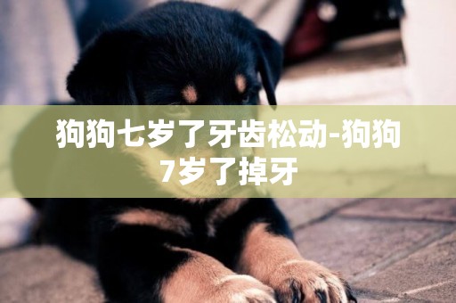 狗狗七歲了牙齒松動-狗狗7歲了掉牙