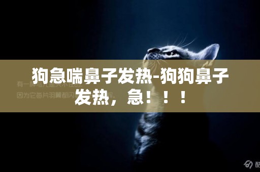 狗急喘鼻子發熱-狗狗鼻子發熱，急！！！