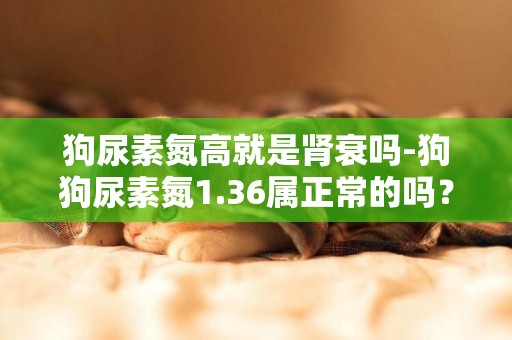 狗尿素氮高就是腎衰嗎-狗狗尿素氮1.36屬正常的嗎？