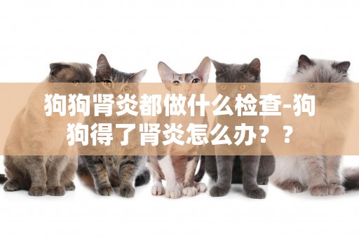 狗狗腎炎都做什么檢查-狗狗得了腎炎怎么辦？？